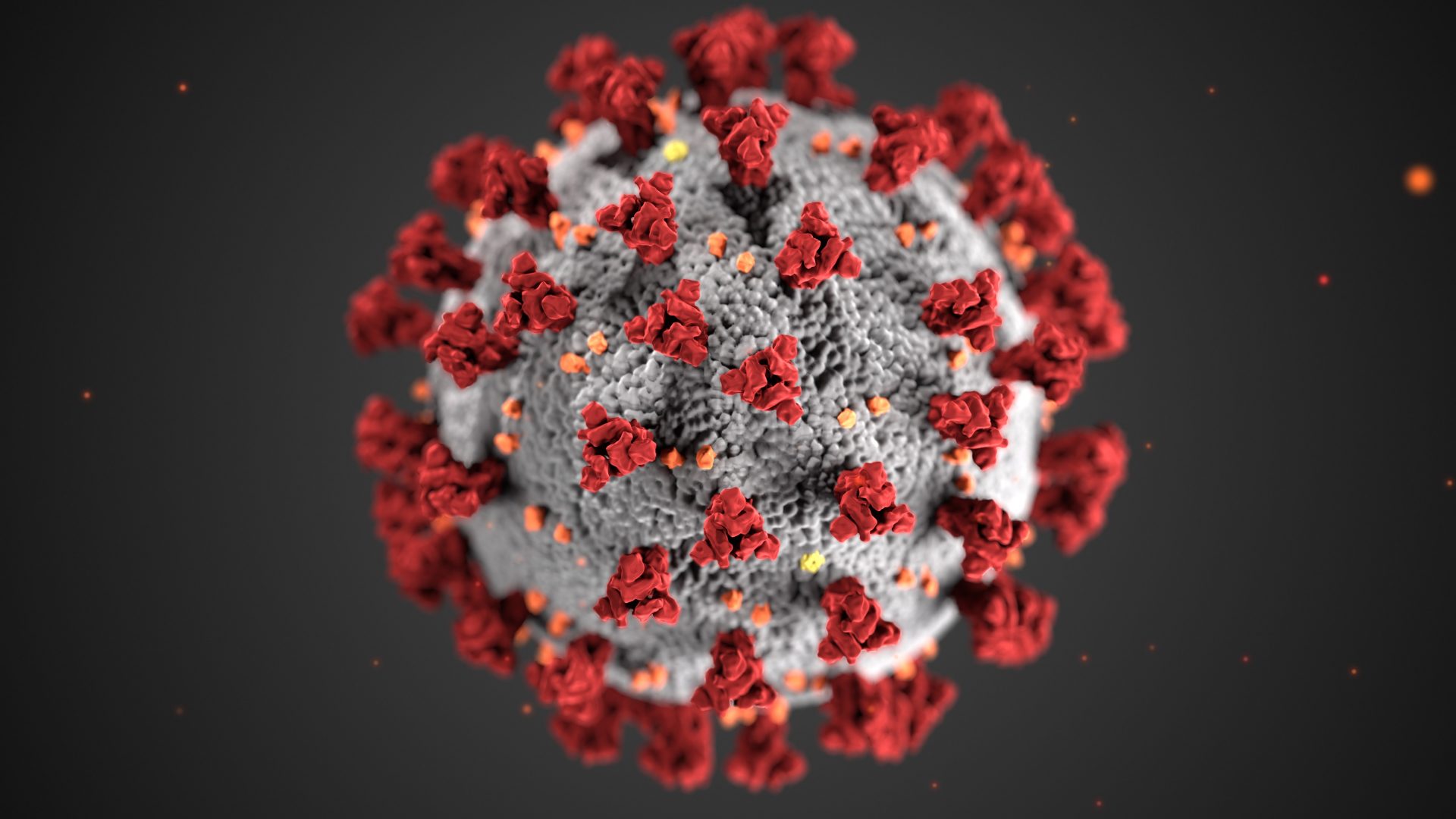 A coronavirus disease 2019 (COVID-19) particle is pictured in this illustration provided by the U.S. Centers for Disease Control and Prevention.
