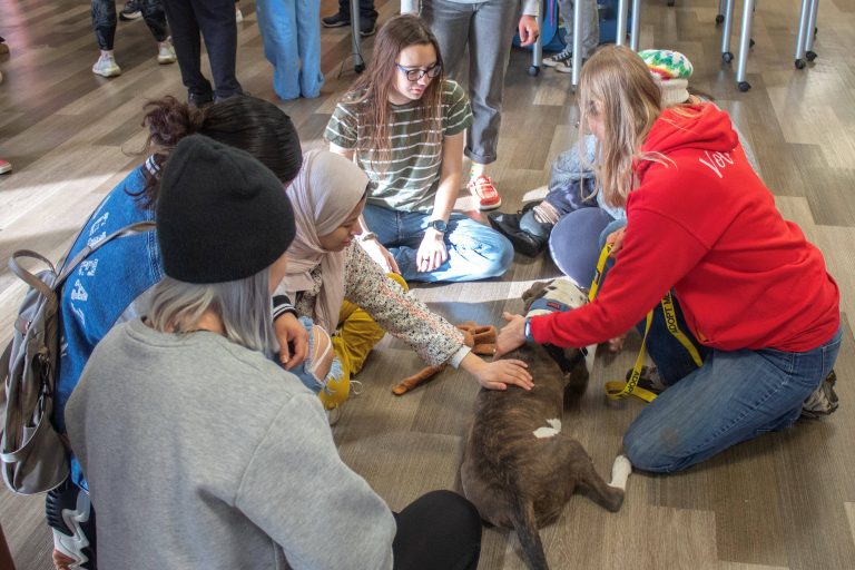 Cook_SnuggleAPup_Dec13_Entertainment_Edited_2