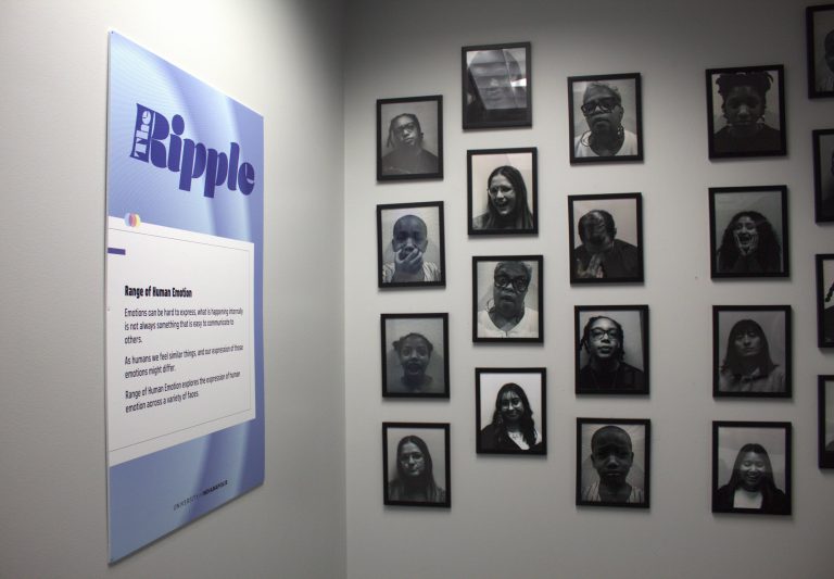 1.RippleGallery.Cook