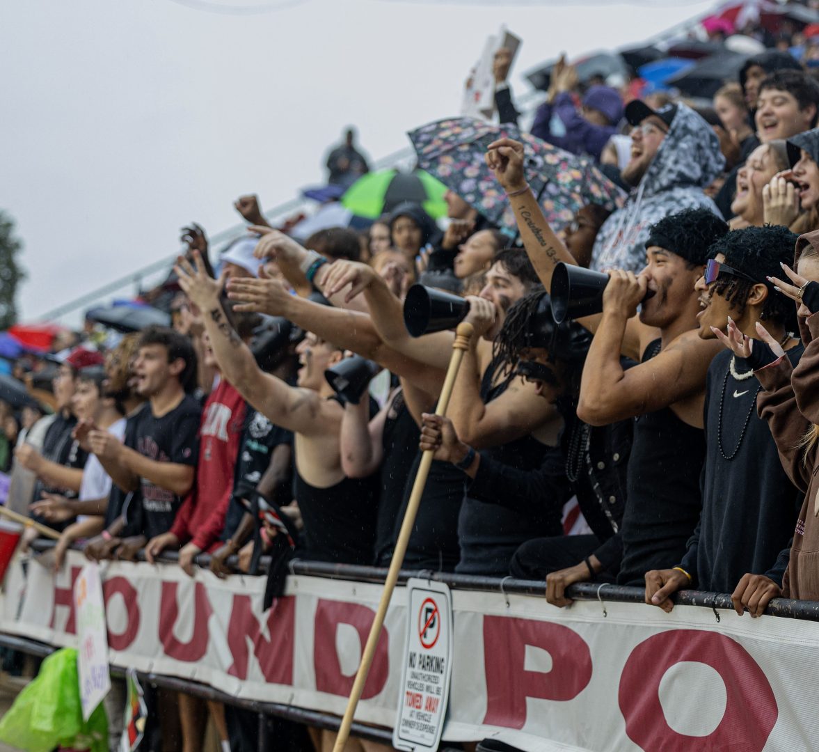 Fans at football game