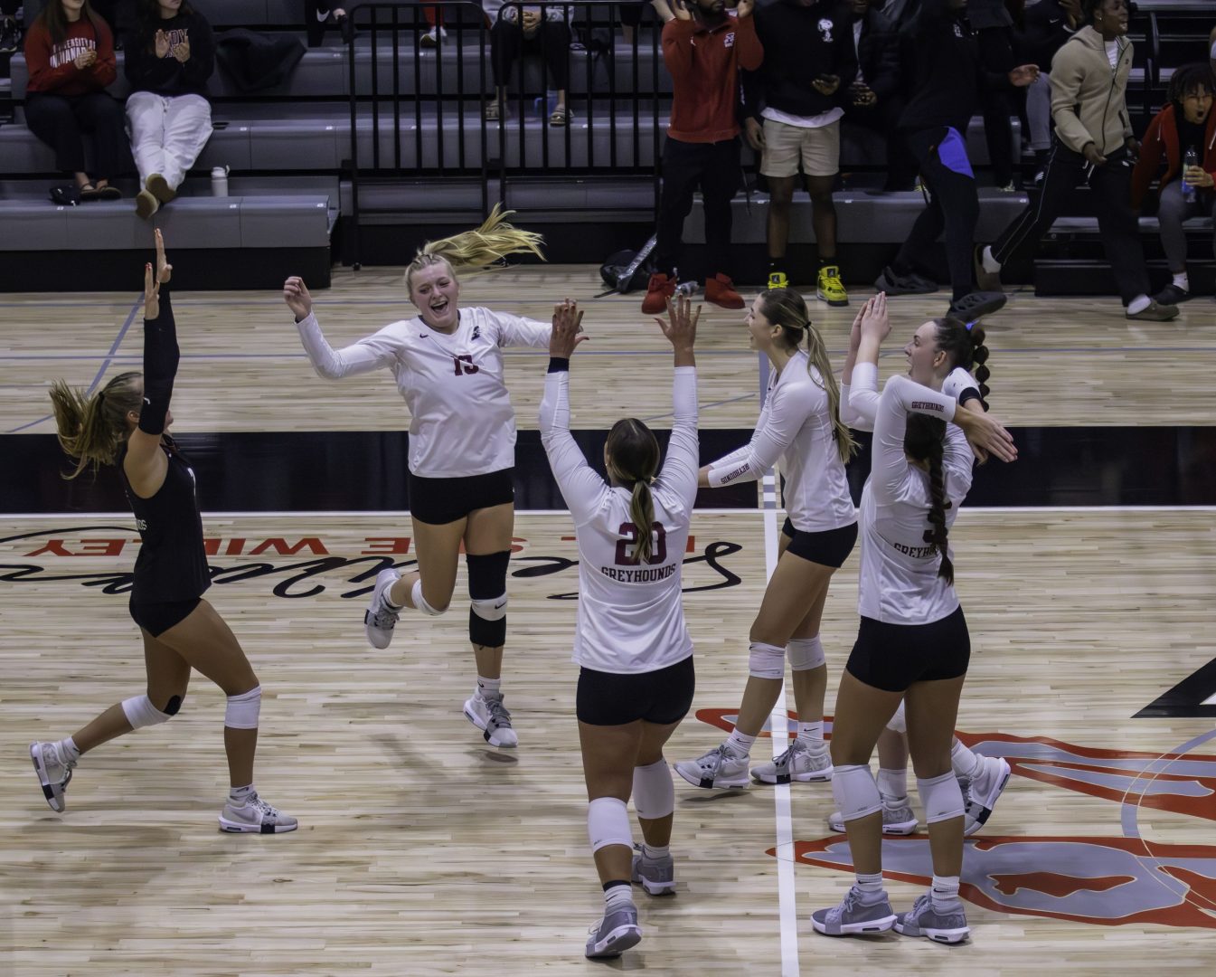 UIndy Volleyball Players Celebrate