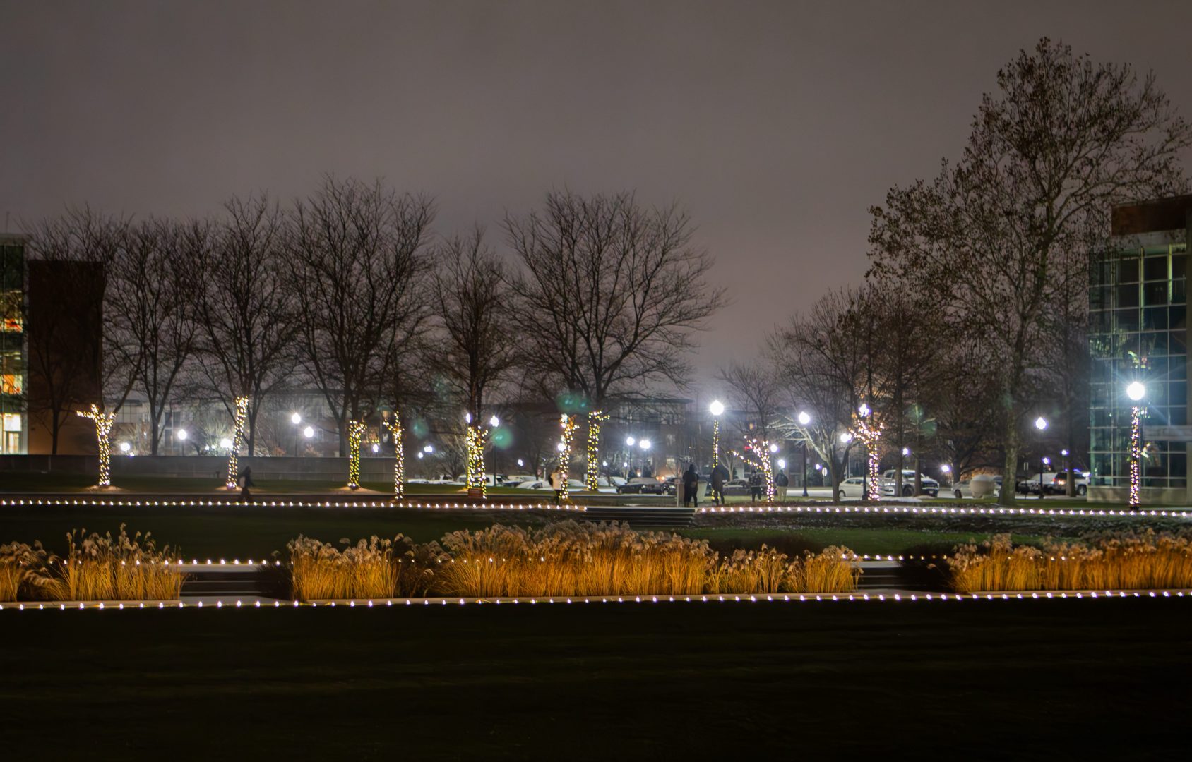 Smith Mall Lights